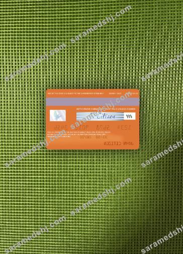 USA New York Community Bank visa card photolook back